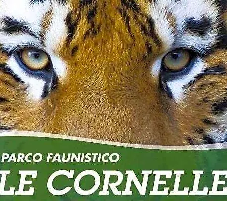 I Colli Di Bergamo Alta Valbrembo